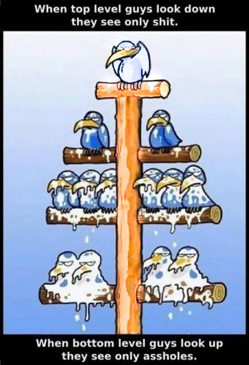 When top level guys look down