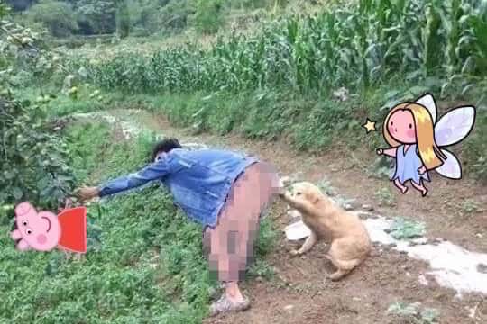 帮我拉开那条狗